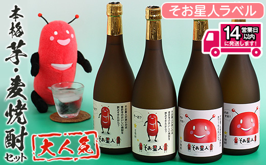 ＜2週間以内発送！＞【芋・麦焼酎セット】鹿児島曽於市の本格焼酎を飲み比べ そお星人の芋焼酎と麦焼酎セット 岩川醸造(720ml×4本) 芋焼酎 麦焼酎 飲み比べ【山元商店】A58-v01