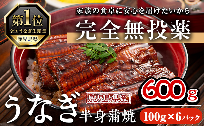 鹿児島県産うなぎ半身カットセット (100g×6パック、タレ・山椒付き) 鰻 ウナギ うな重 ひつまぶし かばやき 九州産 国産 冷凍 真空パック カットうなぎ 蒲焼き【西日本養鰻】A586