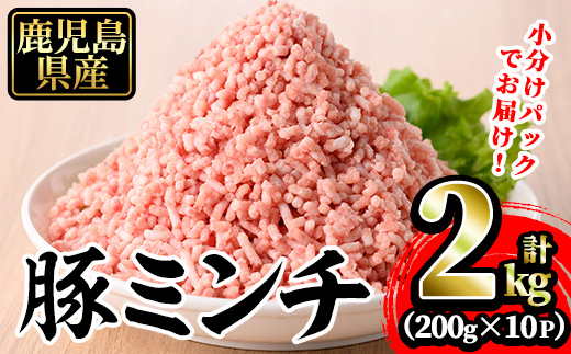 豚ミンチ10袋詰合せ 計2kg(200g×10P)【株式会社南給】A588 計2kg