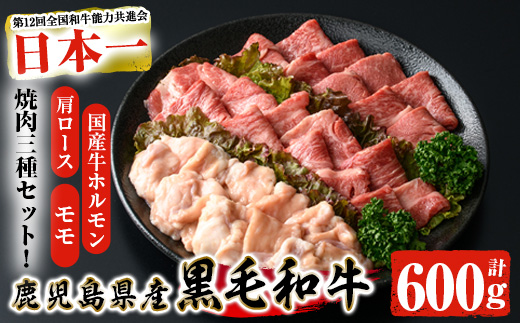 鹿児島県産黒毛和牛の焼き肉セット(和牛ロース肉、モモ肉、国産牛ホルモン 各200g 計600g)【ナンチク】A6-v01