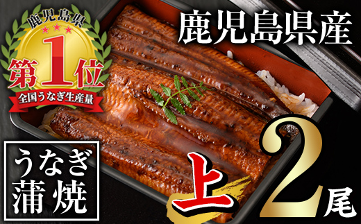 ＜尾数・配送回数が選べる！＞無投薬！鹿児島県産うなぎ蒲焼セット＜上＞(計280g以上・ 140g以上×2尾) タレ・山椒付き【西日本養鰻】A60-v01 【2尾】計280g以上