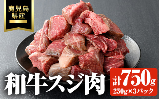 鹿児島県産和牛スジ肉 計750g(250g×3P) 鹿児島県産 和牛 スジ【ビーフ倉薗】A801 【計750g・250g×3P】