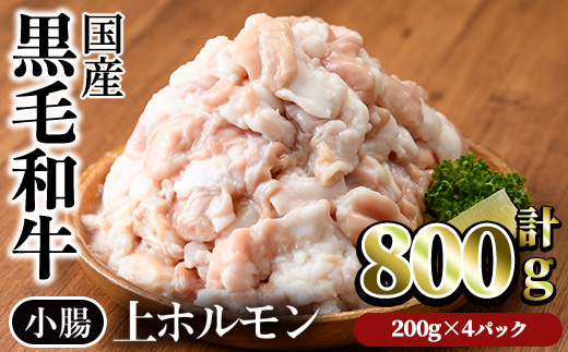 【鮮度抜群！】国産黒毛和牛小腸（上ホルモン計800g） ホルモン 焼肉 黒毛和牛【カミチク】A827 計800g