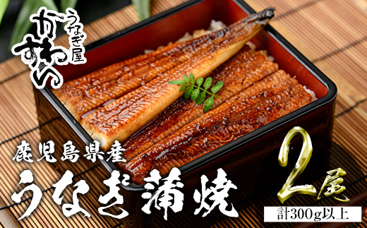 ＜うなぎ屋かわすい＞鹿児島県産 国産うなぎ蒲焼 (計300g以上 / 1本あたり150～169g×2本) タレ入り 鰻 うな重 かばやき【川口水産】A854