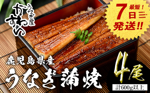 【7営業日以内に発送！】＜うなぎ屋かわすい＞鹿児島県産 国産うなぎ蒲焼 (計600g以上 / 1本あたり150～169g×4本) タレ入り 鰻 うな重 かばやき【川口水産】A856