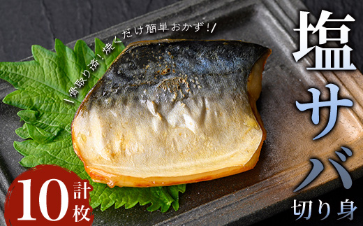 【骨取り】塩サバ切り身(計10枚) 塩サバ 真空 冷凍【小迫ストアー】A920