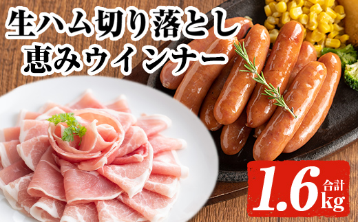 ＜発送時期が選べる・2026年1月中に発送予定＞国産豚生ハム切り落とし・業務用荒挽き恵みウインナー(合計1.6kg) 生ハム おつまみ 小分け 【ナンチク】A941-01 2026年1月中に発送予定