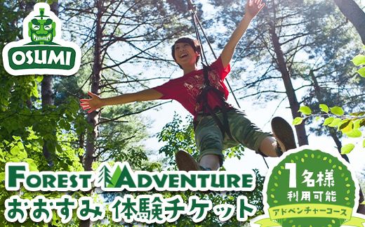 ＜選べるコース内容！＞【アドベンチャーコース】フォレストアドベンチャー・おおすみ 体験チケット (1名分) 体験 アクティビティ チケット【フォレストアドベンチャー・おおすみ】 A962 アドベンチャーコース