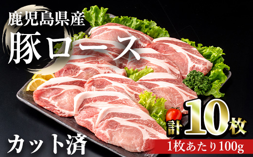 鹿児島県産豚ロース 100g カット(計1kg・100g×10パック) 豚肉 ロース カット【おきどき】A980 計1kg