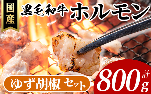 国産黒毛和牛ホルモン計800g(200g×4P)&ゆず胡椒(1個) 牛肉 ホルモン 【ナンチク】A996