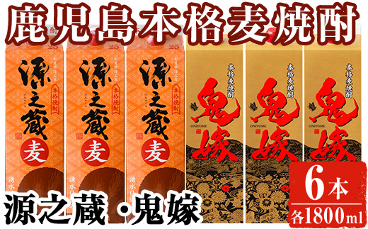 岩川醸造 本格麦焼酎飲み比べ1800mlパック6本セット！(源之蔵、鬼嫁：各1800ml×3本)【大隅家】B138-v02