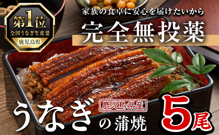 鹿児島県産うなぎ蒲焼 (1尾あたり136g～155g×10尾、タレ・山椒付き) 鰻 ウナギ うな重 ひつまぶし かばやき 九州産 国産 冷凍 【西日本養鰻】B175