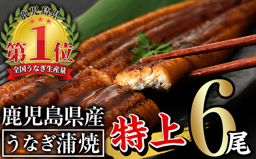 ＜尾数が選べる！＞無投薬！鹿児島県産うなぎ蒲焼セット＜特上＞(計960g以上・ 160g以上×6尾) タレ・山椒付【西日本養鰻】C7-v02 【6尾】計960g以上