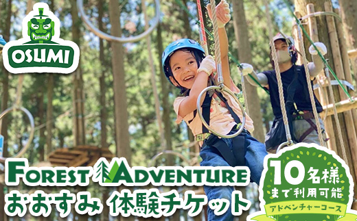 ＜選べるコース内容！＞【アドベンチャーコース】フォレストアドベンチャー・おおすみ グループ体験チケット (最大10名様) 体験 アクティビティ チケット【フォレストアドベンチャー・おおすみ】 D48 アドベンチャーコース