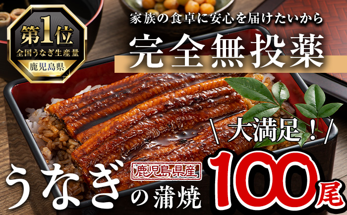 鹿児島県産うなぎ蒲焼 (1尾あたり136g～155g×100尾、タレ・山椒付き) 鰻 ウナギ うな重 ひつまぶし かばやき 九州産 国産 冷凍 【西日本養鰻】P5