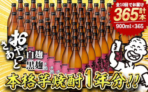 ≪本格芋焼酎1年分！≫おやっとさあ365本セット！(全10回 / おやとさあ900ml×120本・おやっとさあ黒900ml×245本) 芋焼酎 さつま芋 定期便【岩川醸造】T45