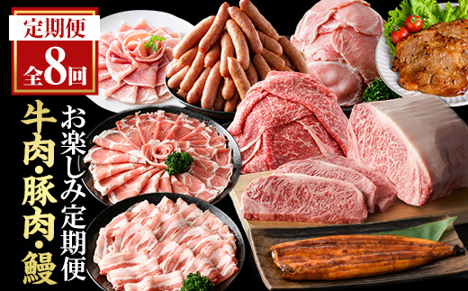 ＜定期便・全8回(連続)＞毎月違うお品をお届け！お楽しみ定期便(合計4.8kg以上) 牛肉 豚肉 定期便 【ナンチク・西日本養鰻】 T48