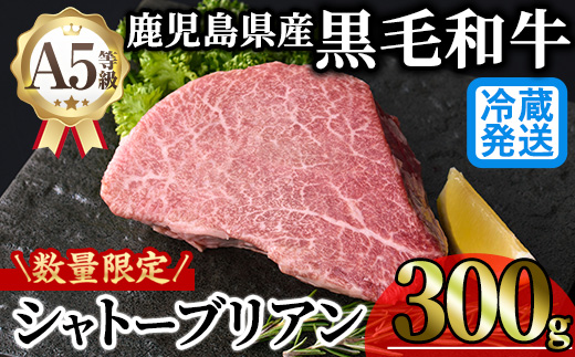 ＜内容量が選べる＞＜新鮮チルド 数量限定希少部位＞鹿児島県産A5黒毛和牛“極厚”シャトーブリアン (計300g・300g×1枚) 冷蔵 チルド シャトーブリアン 希少部位 ヒレ【KNOT】 D53 計300g