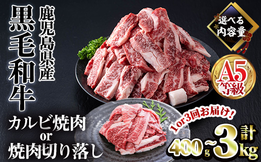 ＜配送回数・内容量が選べる＞A5等級鹿児島県産黒毛和牛カルビ焼肉(計1kg・200g×5パック×1回)【カミチク】A491-v01