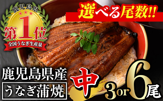 [尾数が選べる!]無投薬!鹿児島県産うなぎ蒲焼セット[中](計330g・ 約110g×3尾) タレ・山椒付き[西日本養鰻]A504-v01