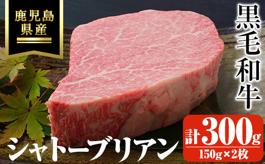 鹿児島県産黒毛和牛・シャトーブリアン 計300g(150g×2枚) [ビーフ倉薗]C43