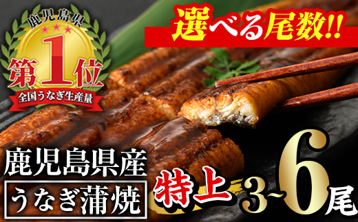 ＜尾数が選べる！＞無投薬！鹿児島県産うなぎ蒲焼セット＜特上＞(計960g以上・ 160g以上×6尾) タレ・山椒付【西日本養鰻】C7-v02
