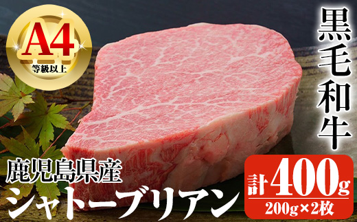 鹿児島県産A4等級以上黒毛和牛・シャトーブリアン 計400g(200g×2枚)[ビーフ倉薗]D32