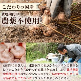 A0-296 国産サフラン花芯 計3g(0.5g×6P)【泉真一朗】