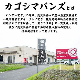 B-095 黒さつま鶏しゃぶしゃぶセット(4～5人前)【カゴシマバンズ】霧島市 国産 鶏肉 鳥肉 鶏白湯スープ 鍋