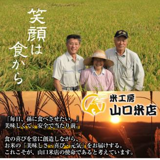 D-052 《令和7年産》日本初！卵かけご飯専用米!コケコッコ(TKG専用米)計20kg(5kg×4パック)【山口米店】お米 精米 白米 米 お米 こめ コメ