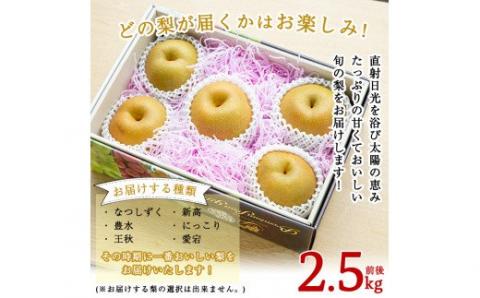 A-138 ＜期間限定！2025年8月中旬～10月上旬の間に発送予定＞梨詰め合わせ(約2.5kg前後)【さくら農園】なし 梨 豊水 フルーツ 果物 期間限定
