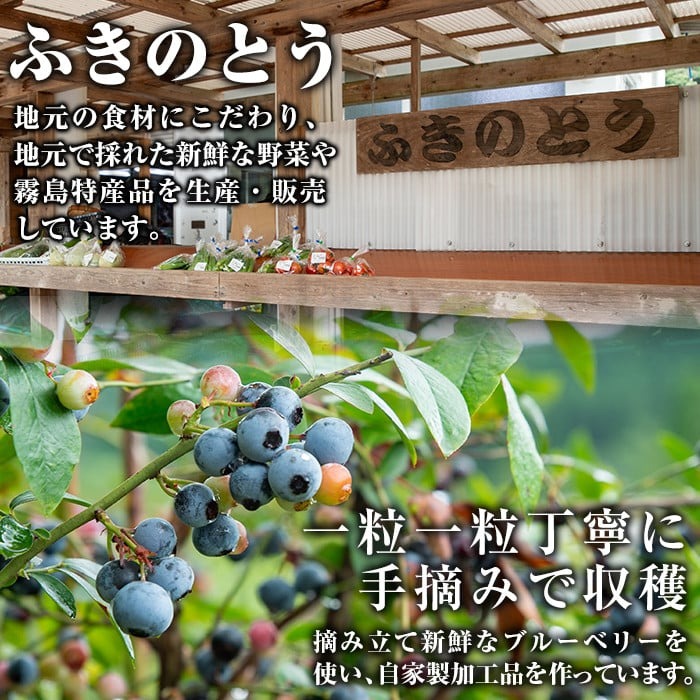 A-041 ブルーベリージュース・ジャムセット【霧島農産加エグループふきのとう】霧島市 詰め合わせ 加工品