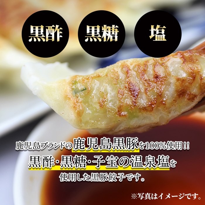 A-109 鹿児島黒豚餃子60個(30個×2)国産！鹿児島県産黒豚肉を100%使用した冷凍黒豚ぎょうざ【九面屋】国産 霧島市 ギョーザ 冷凍 惣菜 おかず おつまみ 黒豚 タレ付き
