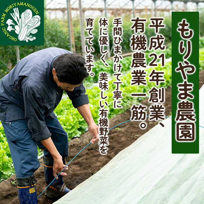 A0-350 ＜期間限定！2023年10月上旬～2024年2月下旬の間に発送予定＞有機小松菜（ゲンセン霧島認定品・合計4kg) 【もりやま農園】霧島市 国産 有機栽培 野菜 やさい こまつな こまつ菜