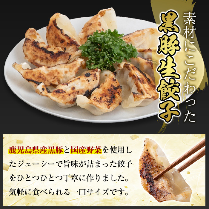 A3-008 国産！鹿児島県産黒豚餃子60個(10個入×6P)【肉の豊楽】霧島市 国産 豚肉 ぎょうざ ギョーザ ギョウザ 惣菜 おかず 冷凍