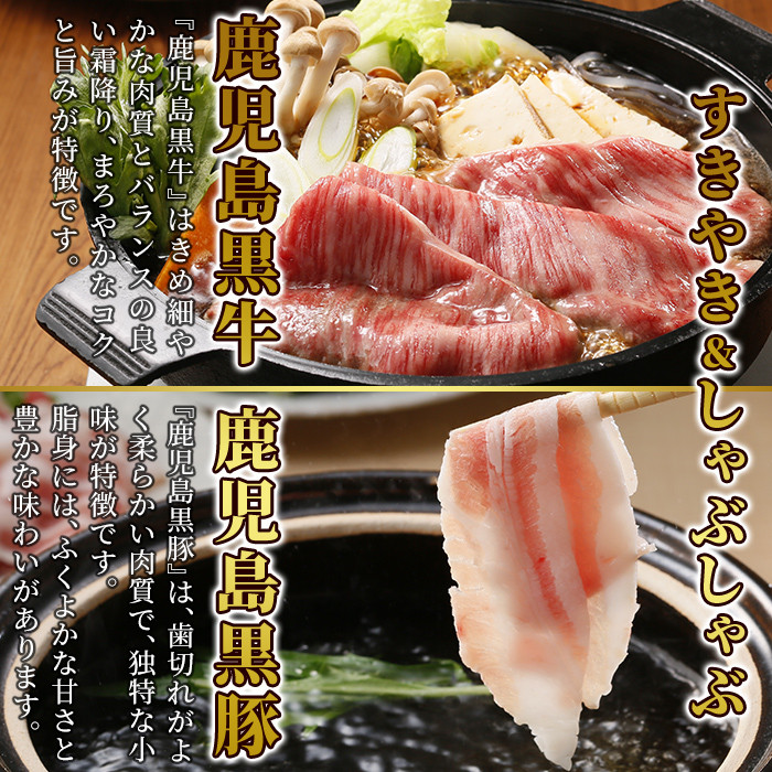 B0-197 5等級：鹿児島黒牛・黒豚スライスセット(計900g)＜D-2901＞【JA】