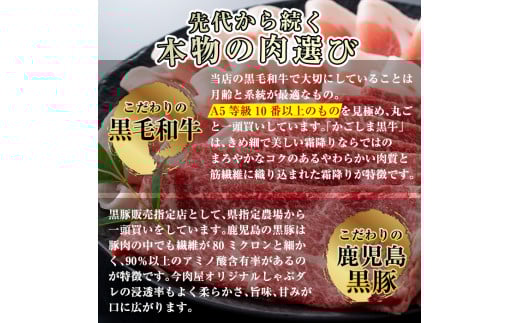 C-013 ＜Ａ５ランク＞黒毛和牛ステーキ計約500g(250g×2枚)※北海道・沖縄配送不可※【今肉屋】ステーキ サーロイン ステーキ肉 ステーキ牛肉 国産 牛肉 A5