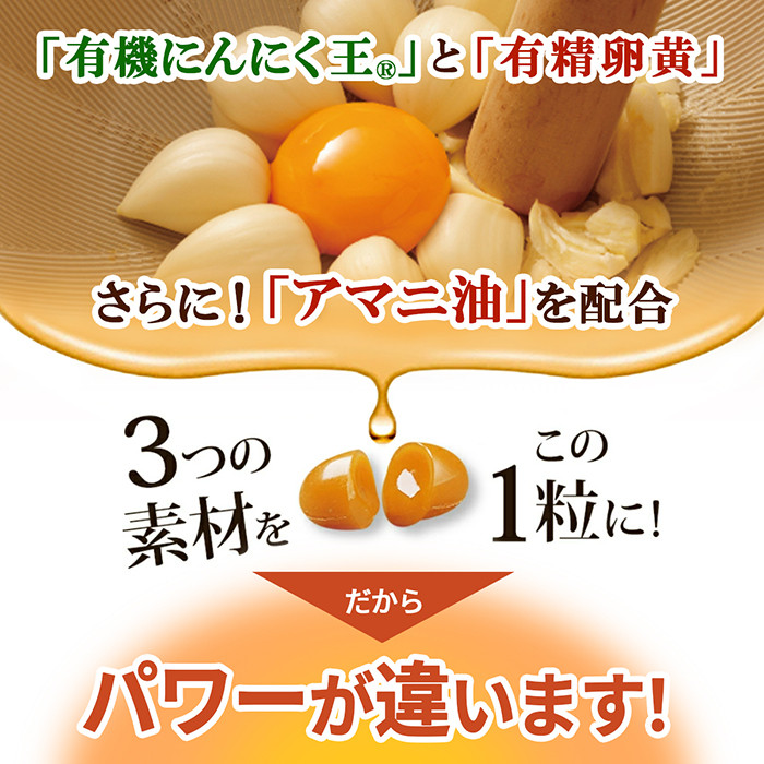 F0-007 《定期便・全6回》伝統にんにく卵黄＋アマニ・スタンドタイプ(1袋62粒入)(総合計6袋)【健康家族】霧島市 サプリメント サプリ 健康食品 栄養補助食品