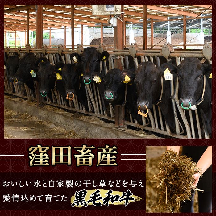 K-049 鹿児島県産黒毛和牛100％使用！ソーセージ3パック(120g×1P・5本入り、150g×1P・3本入り、150g×1P・5本入り)【窪田畜産】霧島市 肉 牛肉 牛 黒毛和牛 加工品 フランクフルト ホットドッグ BBQ バーベキュー おつまみ お弁当