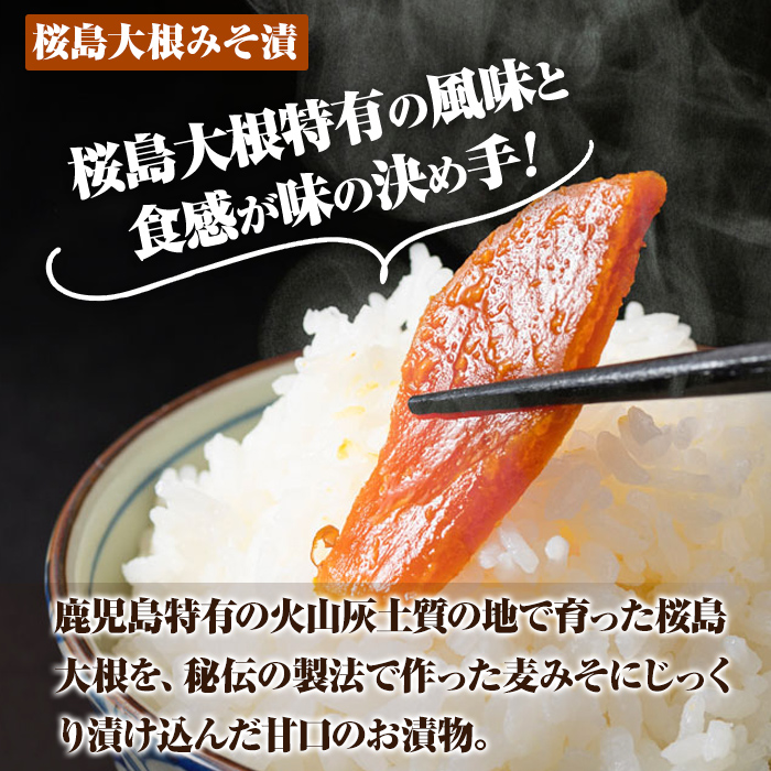 K-139 桜島大根みそ漬 (合計900g・300g×3P) 桜島大根使用漬物【財宝】霧島市 つけもの 漬物 漬け物 大根 お茶漬け 料理 お弁当 おうち時間 ご飯のお供 酒のおつまみ 常温 常温保存 小分け