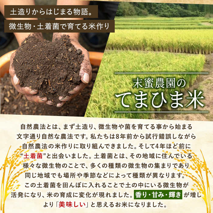 K-198-D 令和7年産 てまひま米(品種:にこまる)(計20kg)【末蜜農園】霧島市 お米 精米 白米 米 こめ コメ ご飯ごはん 栽培期間中農薬不使用
