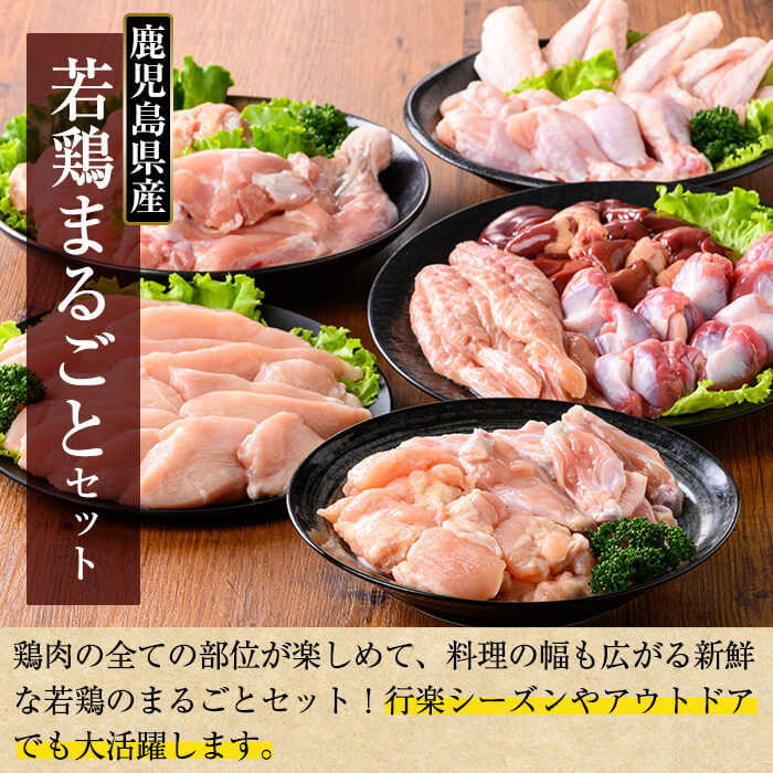 K-213 鹿児島県産 若鶏まるごとセット (計3.05kg)【TRINITY】 霧島市 国産 小分け 冷凍 真空パック 鶏肉 鳥肉 詰め合わせ