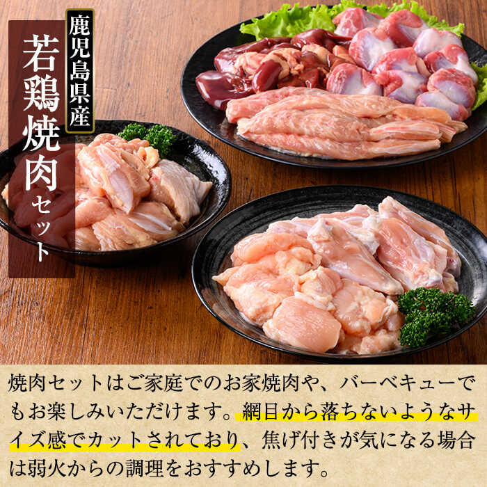 K-221 鹿児島県産 若鶏焼肉セット (合計4.2kg)【TRINITY】 霧島市 国産 冷凍 真空パック 小分け 鶏肉 鳥肉 詰め合わせ