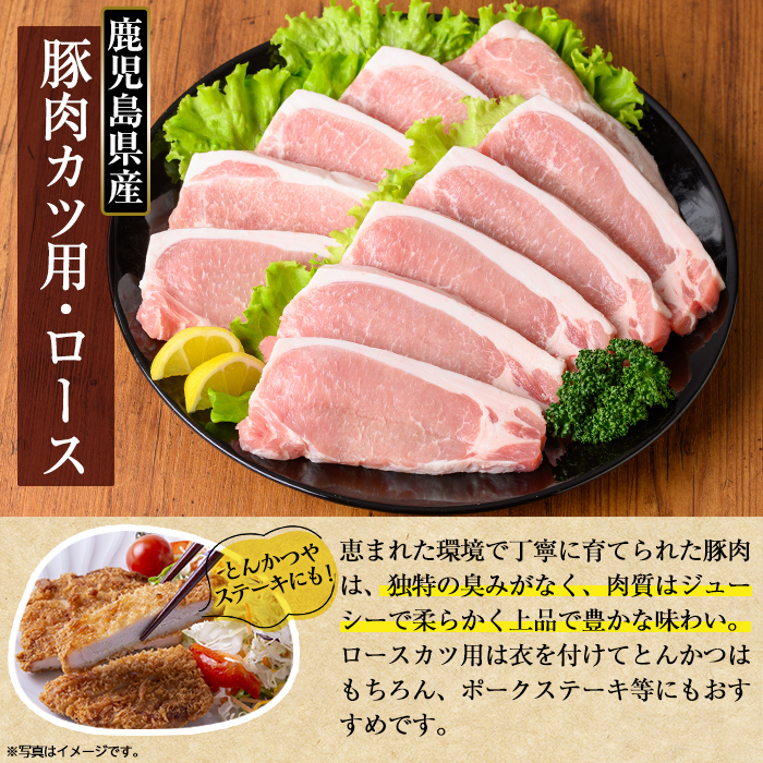 K-310 鹿児島県産 豚肉ロースカツ・ヒレカツ用(合計20枚セット)【TRINITY】霧島市  国産 冷凍 小分け 豚肉 ぶた ブタ 肉 ロース ヒレカツ セット