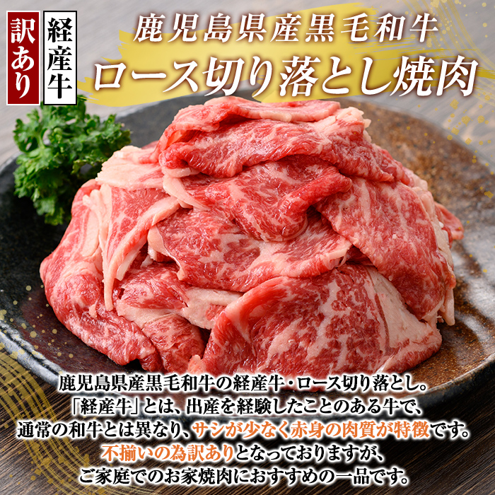 K-325 ＜訳あり・不揃い＞鹿児島県産黒毛和牛(経産牛)ロース切り落とし焼肉(500g)【ビーフ倉薗】霧島市 牛肉 ヤキニク 焼き肉 国産 鹿児島県産 黒毛和牛 肉 精肉 牛