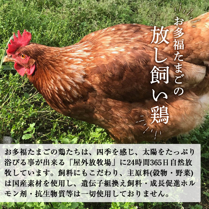 K-330 国産「お多福たまご」の放し飼い鶏ひき肉計5kg(500g×10袋)【お多福たまご】霧島市 国産 鶏肉 鳥 ミンチ 鳥ミンチ ひき肉 挽き肉 冷凍 小分け