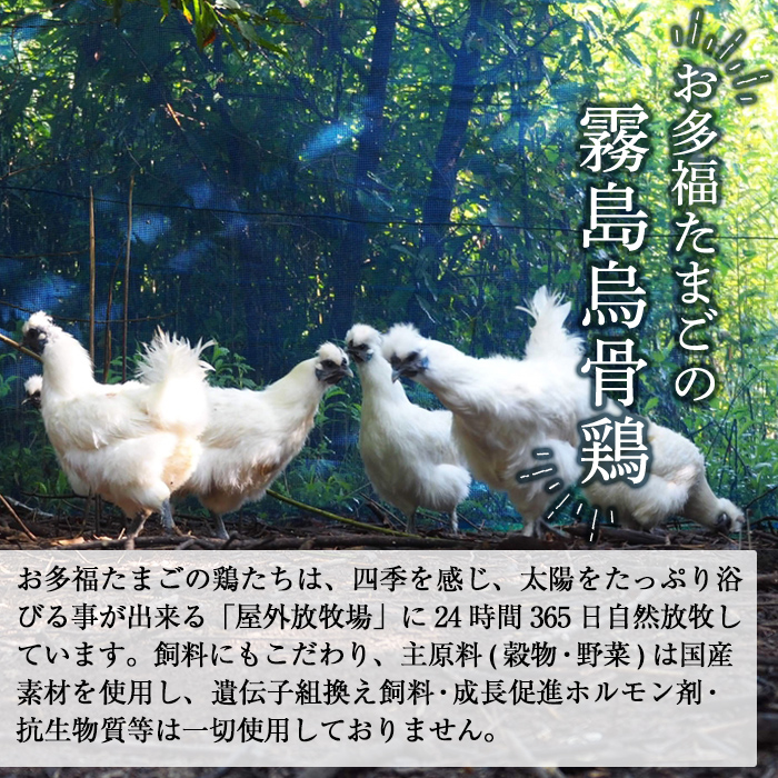 K-332 《桐箱入》オーガニック烏骨鶏卵「霧島烏骨鶏」(8個入)【お多福たまご】有機JAS 放し飼い自然卵 霧島市 国産 九州産 鹿児島県産 たまご 卵 鶏卵 烏骨鶏 うこっけい 朝食 ギフト 贈答 プレゼント