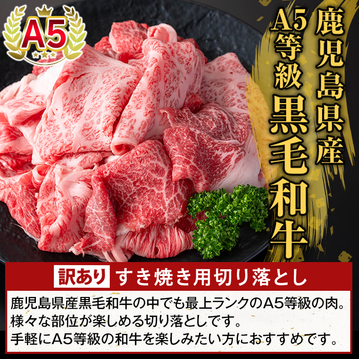 K-472-A ＜訳あり＞鹿児島県産A5等級黒毛和牛すき焼き用切り落とし(計450g)【ふるさと産直バザール】霧島市 部位ミックス 切落し 牛肉 国産 鹿児島県産 肉 精肉 ワケアリ