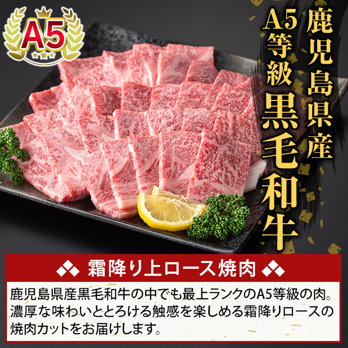 K-482-B 鹿児島県産A５等級黒毛和牛霜降り上ロース焼肉(計500g)【ふるさと産直バザール】霧島市 牛肉 国産 鹿児島県産 ロース 焼肉 肉 精肉