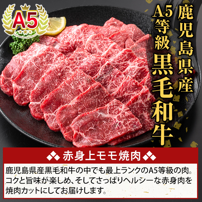K-483-C 鹿児島県産A5等級黒毛和牛赤身上モモ焼肉(計750g)【ふるさと産直バザール】霧島市 牛肉 国産 鹿児島県産 モモ 焼肉 肉 精肉